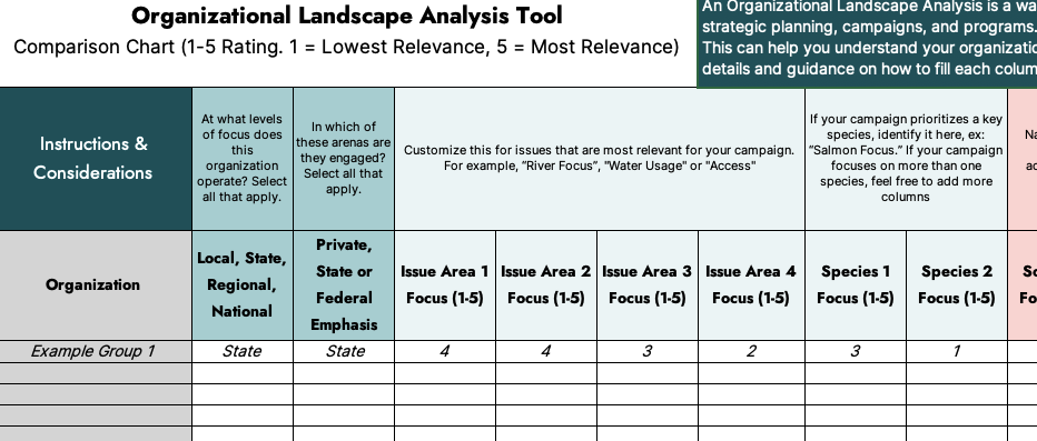 Preview image of org analysis spreadsheet